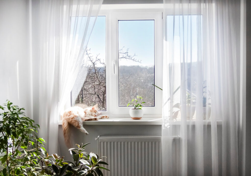 interior-living-room-light-colors-window-with-white-tulle-sleeping-cat-windowsill